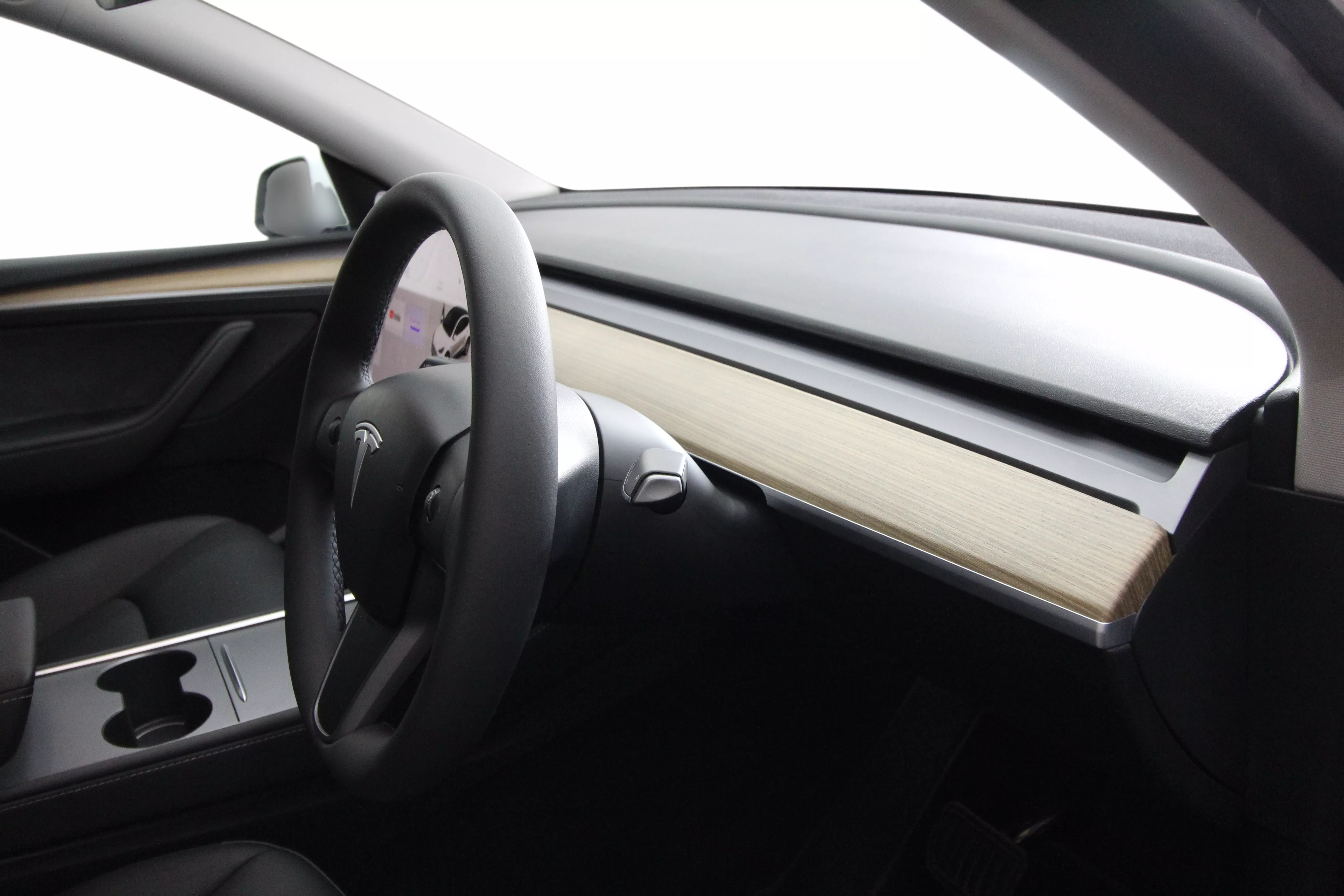 Model Y