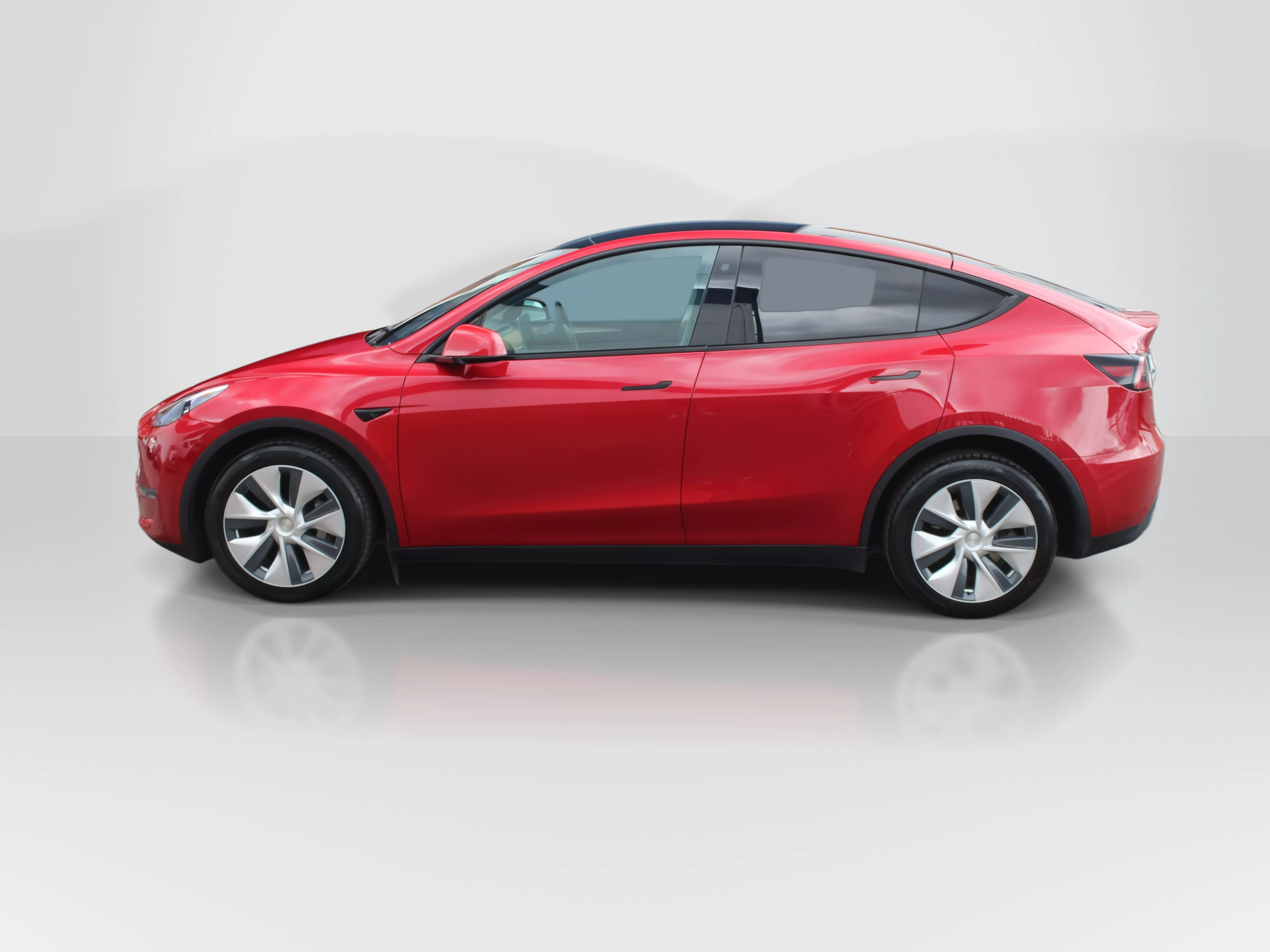 Model Y