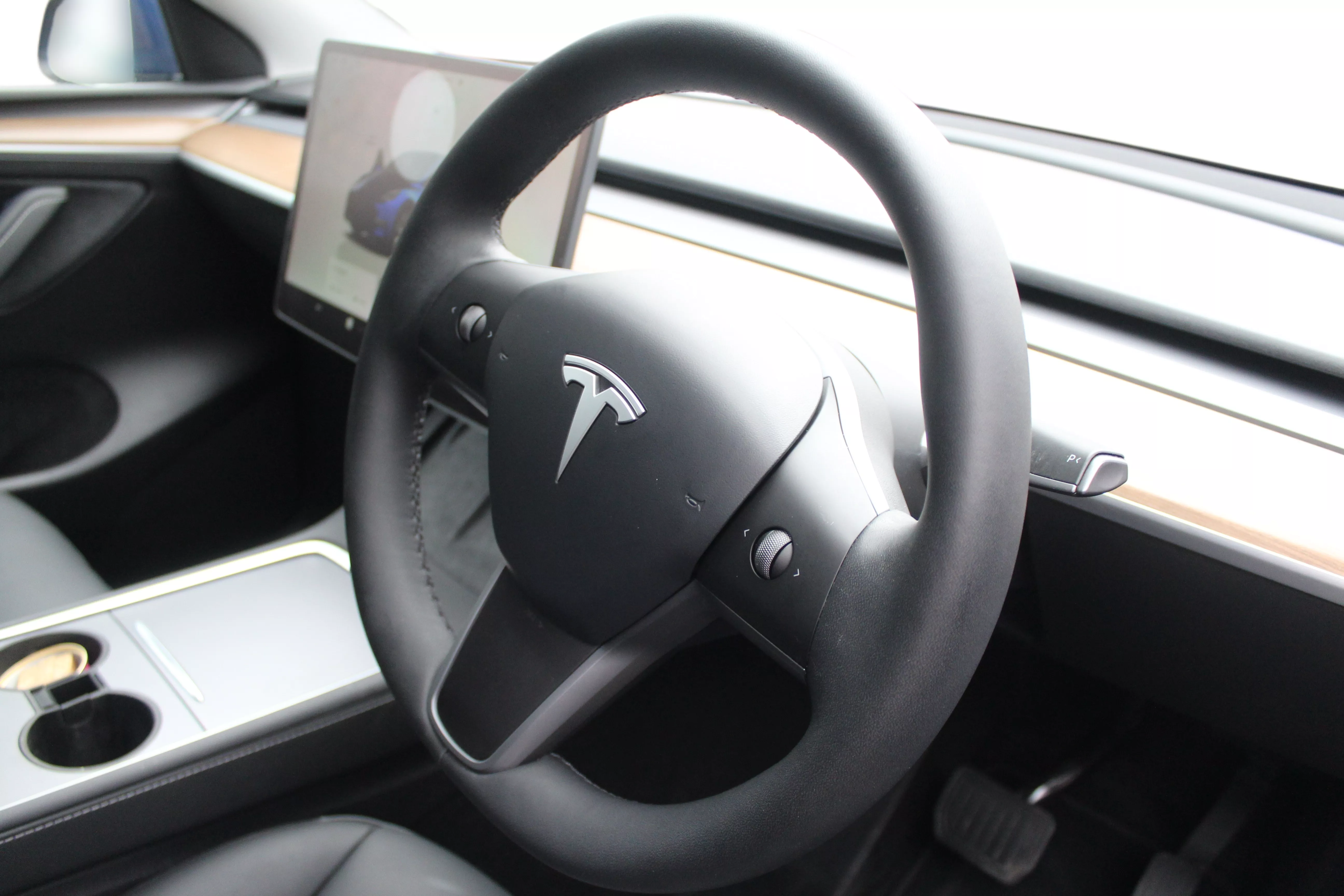 Model Y